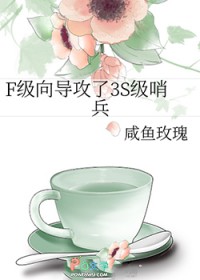 F级向导攻了3S级哨兵