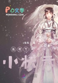 被榜下捉婿的小状元