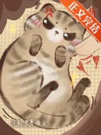 我才不是邪恶小猫咪