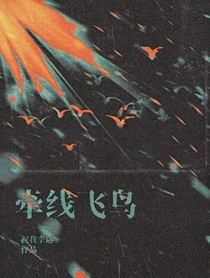 牵线飞鸟