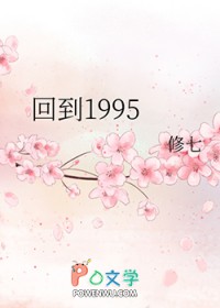 回到1995